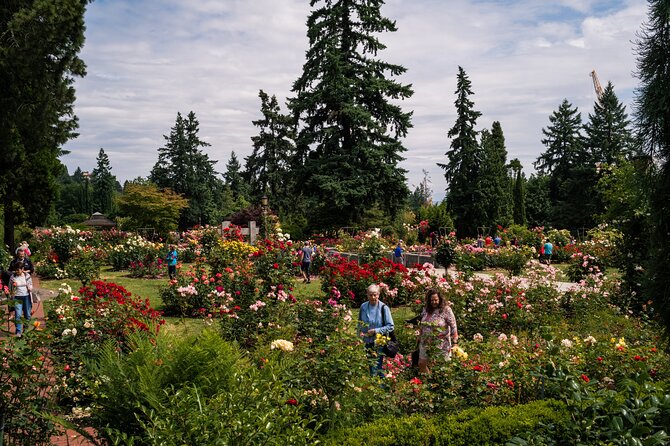 Portland Afternoon City Tour - Exploring Portlands Top Sights