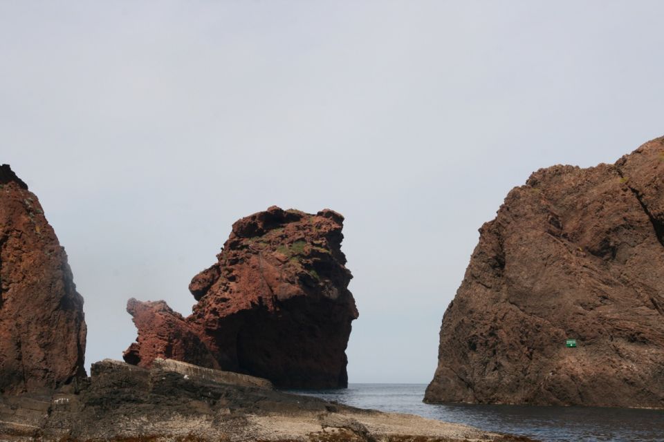 Porto: Scandola Nature Reserve, Gulf of Girolata Boat Tour - Experience Highlights