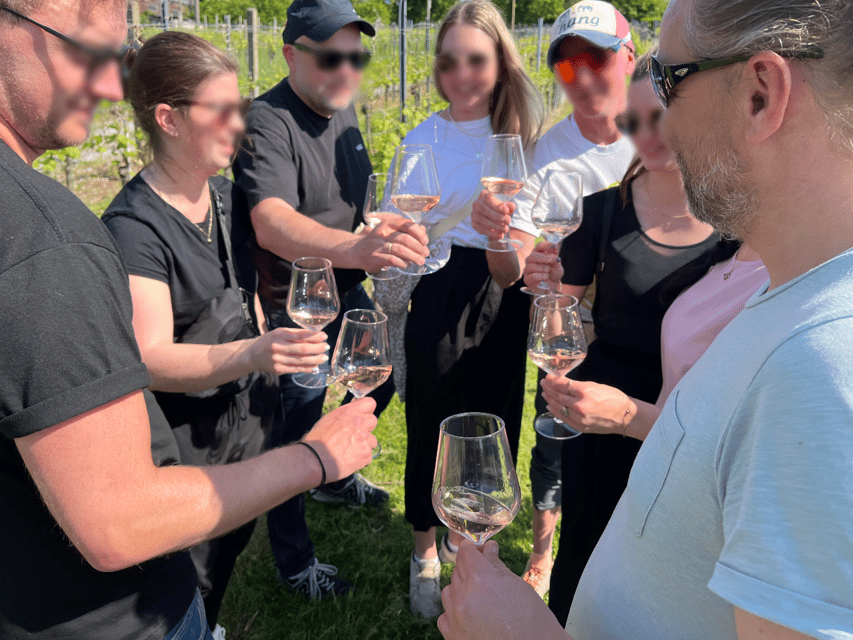 Premium Wine Hike Stuttgart With Games and Winemakers Snack - Customer Feedback and Ratings