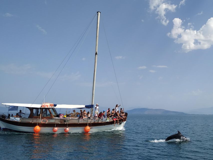 Preveza: Dolphin Watching Cruise With Lunch and Drinks - Inclusions and Facilities