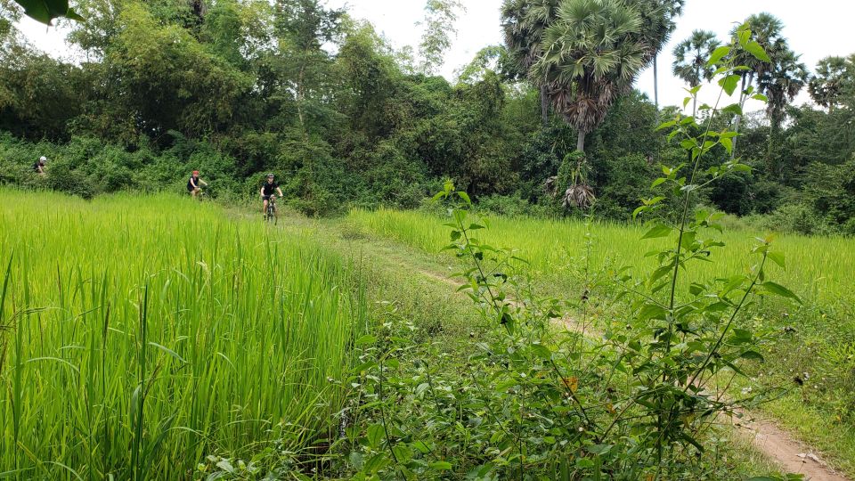 Private Angkor Wat Bike Tour - Customer Reviews