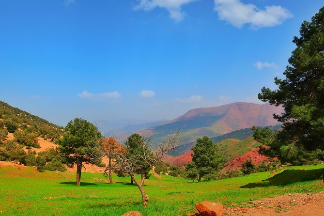 Private Atlas Mountains Day Trip - Inclusions and What to Expect