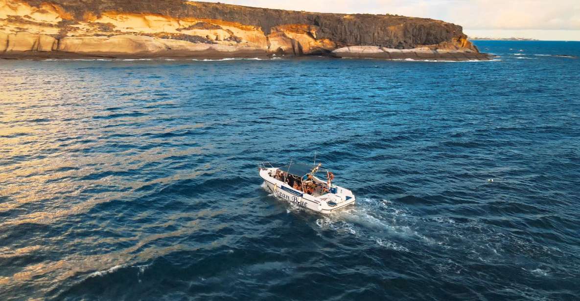 Private Charter Private Charter to See the Whales - 2 Hours - Itinerary Details