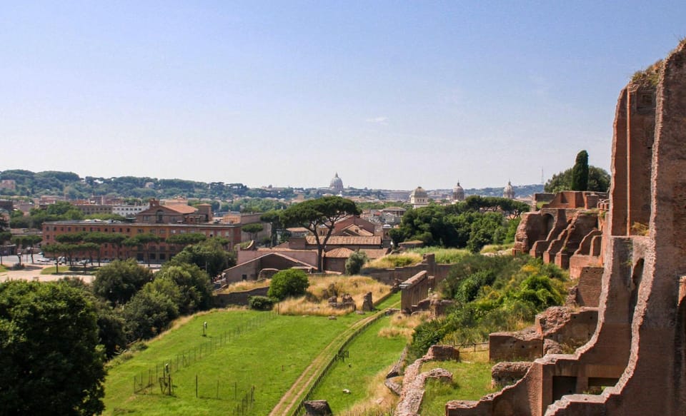 Private Colosseum, Roman Forum, and Palatine Walking Tour - Roman Forum Insights