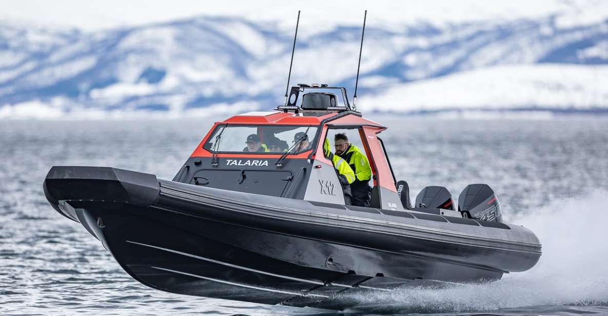 Private Cruise With High Speed RIB - Experience Highlights