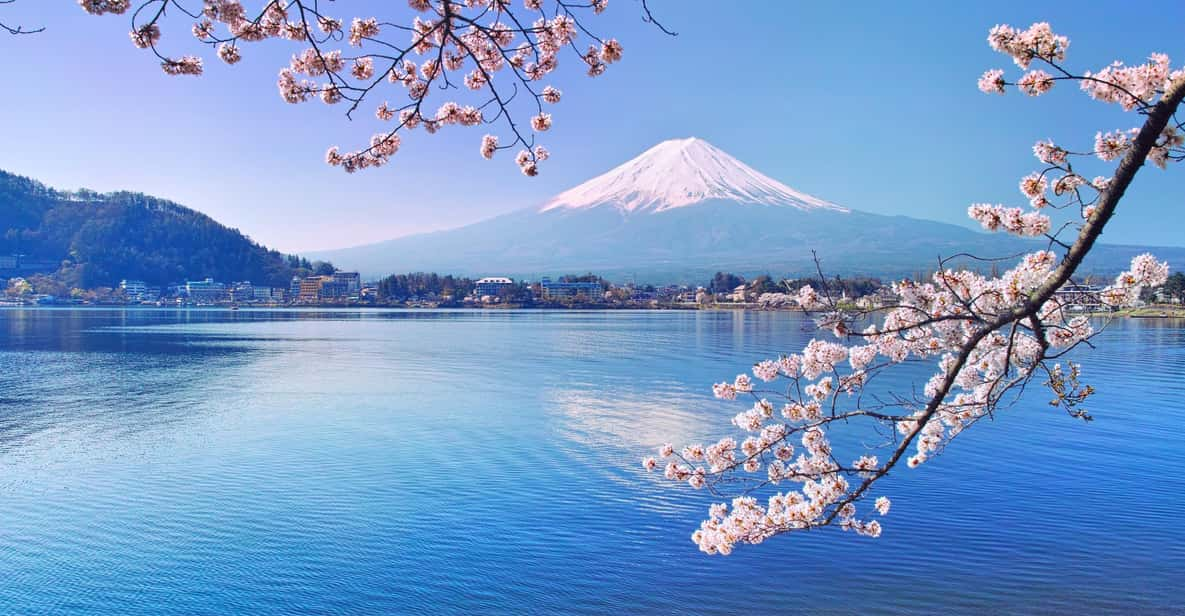 Private Customized Tour in Mount Fuji - Key Attractions