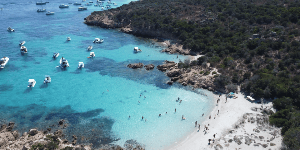 Private Day Sail to La Maddalena Archipelago: Magic Awaits! - Customer Feedback