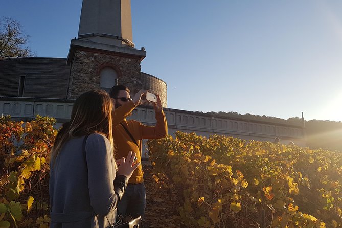 Private Day Tour in Champagne - Door-to-Door Pickup and Drop-off