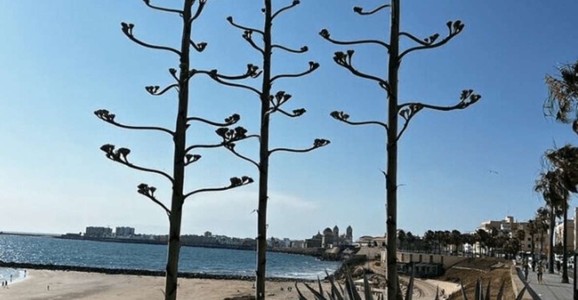 Private Day Trip Cadiz and Jerez From Sevilla - Experience Highlights