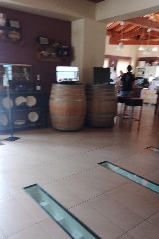 Private Etna Wine Tour - Experience Highlights