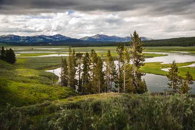 Private Full-Day Yellowstone National Park Tour - Guided Tour Experience