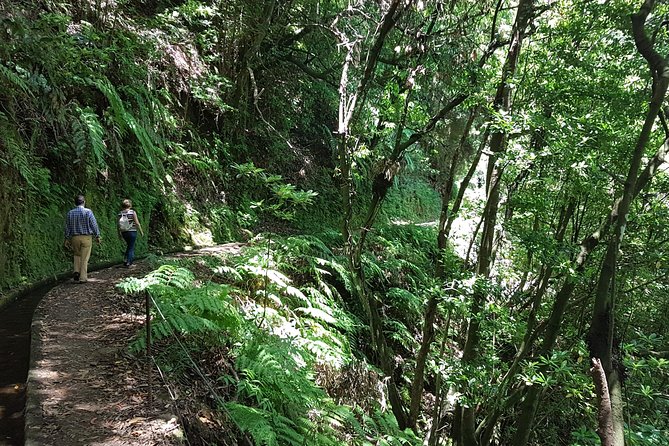 Private Guided Walk Levada Do Rei - Levada Hike Experience