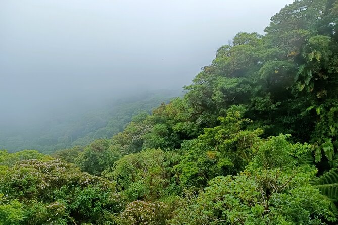 Private Guided Walk to the Santa Elena Cloud Forest Reserve - Meeting and Pickup Details