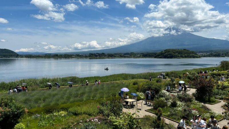 Private: Hakone and Kawaguchi in One Day. - Included Services
