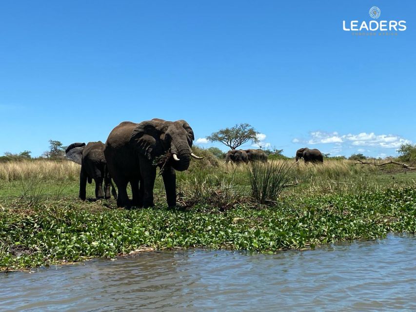 Private Kruger National Park Full Day Safari - Birdwatching in Kruger