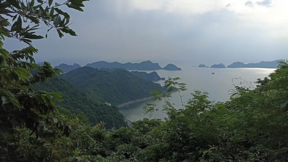 Private Lan Ha Bay Day Cruise From Hanoi With a Local Guide - Onboard Experience