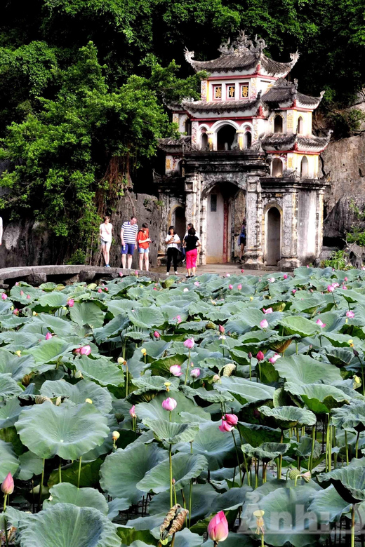 Private Luxury 1 Day Tour: Trang An, Mua Cave, Bich Dong - Highlights of the Tour