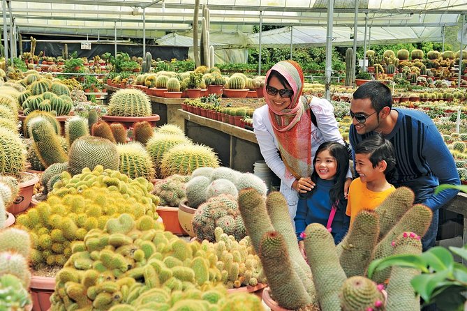 Private Nature Trip to Cameron Highlands From Kuala Lumpur - Itinerary Flexibility