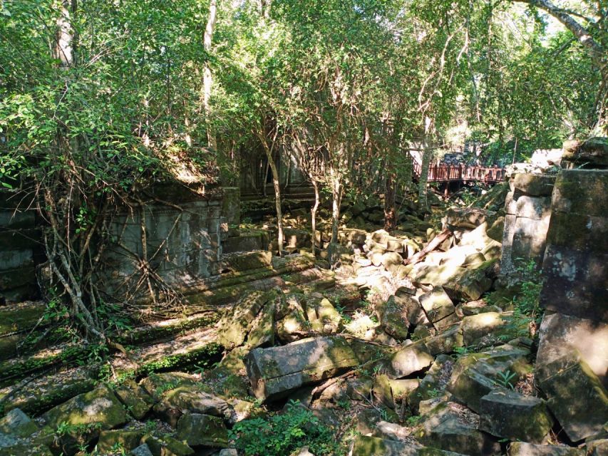 Private One Day Trip-Pyramid Temple Koh Ker and Beng Mealea - Transportation Options