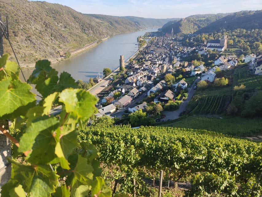 Private Rhine Valley Tour With River Cruise & Wine Tasting - Activities