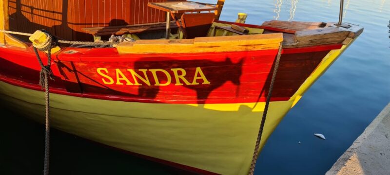 Private Sunset Dolphin Excursion With Sandra Boat - Experience Highlights