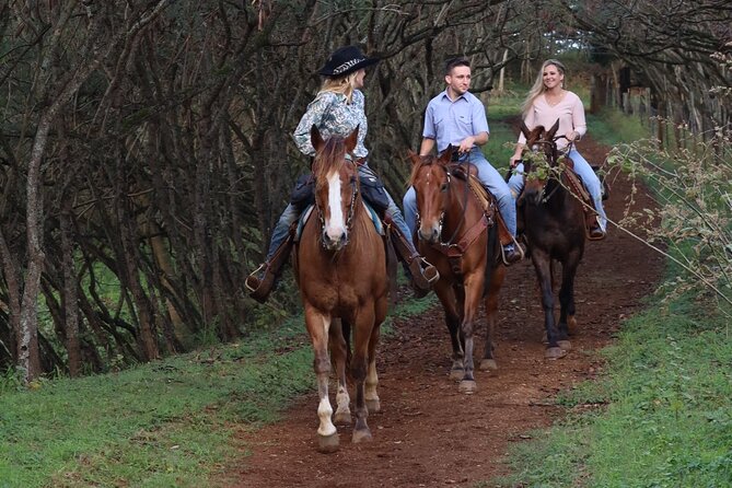 Private Sweetheart Horseback Ride - Weather Considerations