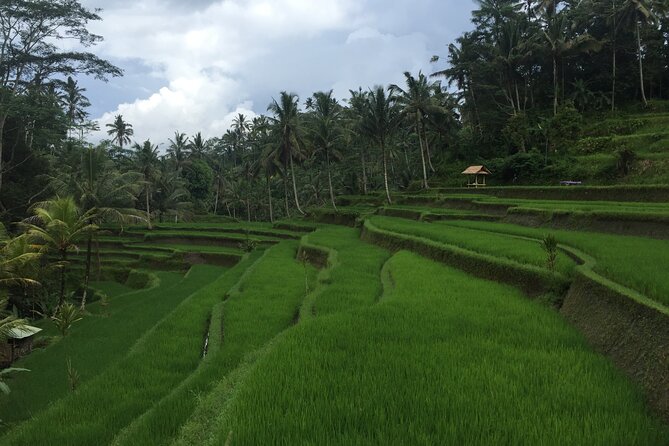 Private Tour: Bali Heritage Sites - Inclusions and Amenities