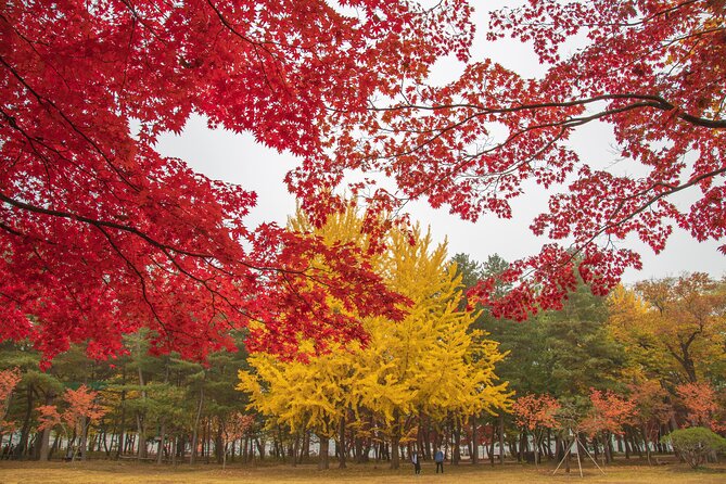 (Private Tour) Nami Island + Railbike + Garden of Morning Calm - Exploring Gangchon Rail Park