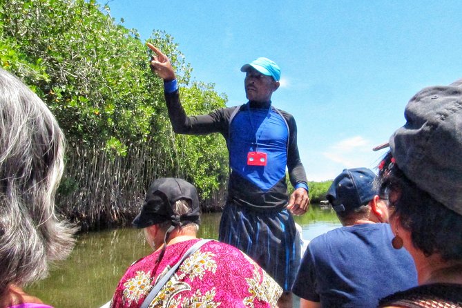 Private Tour of Ecotourism, Culture and Sea in Barú - Positive Feedback From Travelers