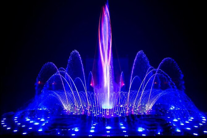 Private Tour of Old and New Delhi Including Multimedia Water Show - Tour Inclusions and Exclusions