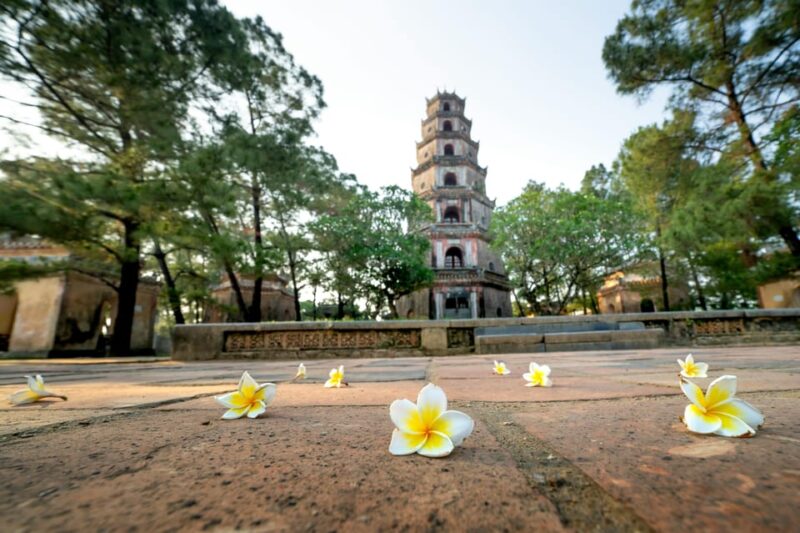 Private Tour of Vietnams World Heritage Sites - Key Highlights of Each Day