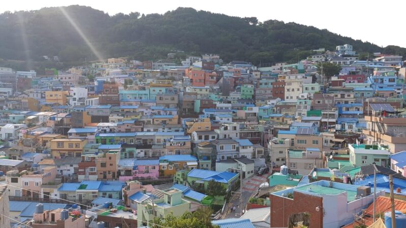 Private Tour to Busan, the Marseille of Korea - Guided Experience