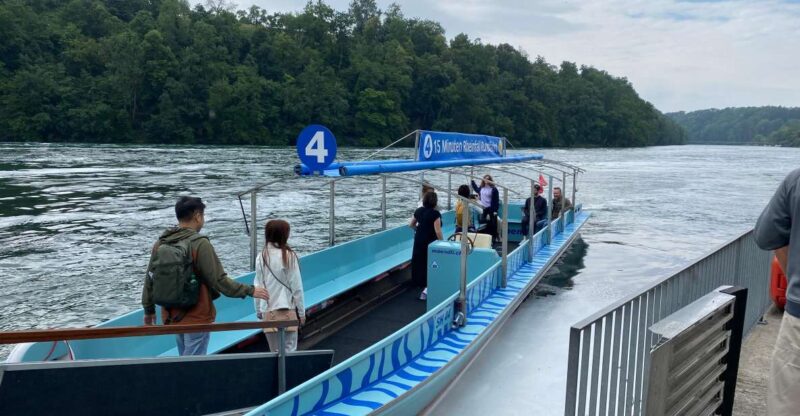 Private Tour to the Rhine Falls With Pick-Up at the Hotel - Scenic Transportation