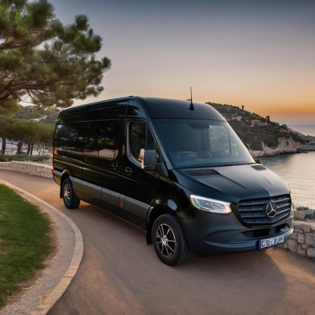 Private Transfer:Piraeus Port-Athens Center With Mini Bus - Transportation Options