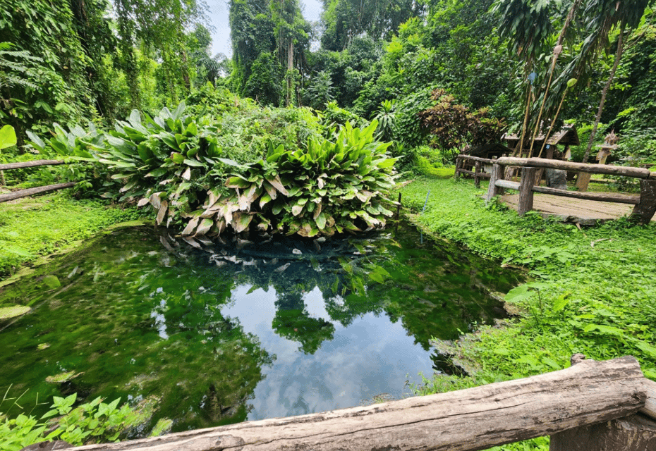 Private Trip : Sticky Waterfall & Wat Tham Bua Tong - Swimming in Natural Pools