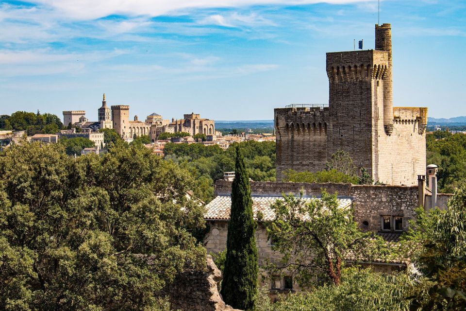 Private Walking Tour of Avignon - Experience Details