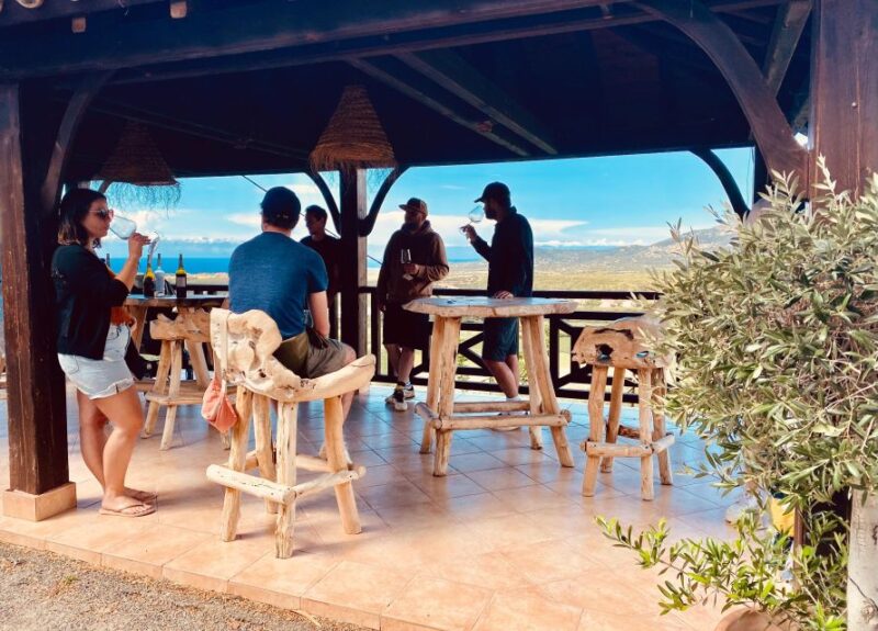 Private Wine Tasting With Transportation - Activities and Exploration