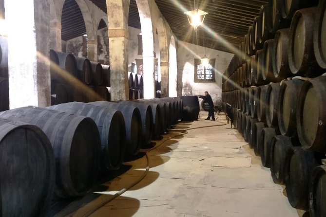 Private Wine Tour to Jerez De La Frontera - Gourmet Lunch With Wine