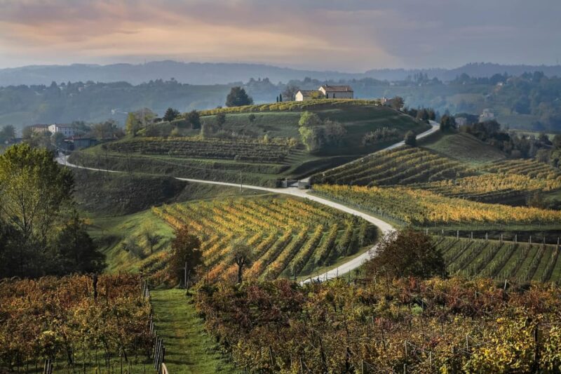 Prosecco Hills Bike Tour From Venice - Detailed Itinerary