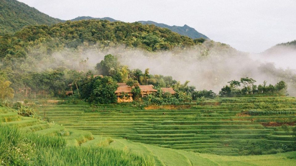 Pu Luong 2D1N Trekking Trip | From Hanoi - Experience Highlights