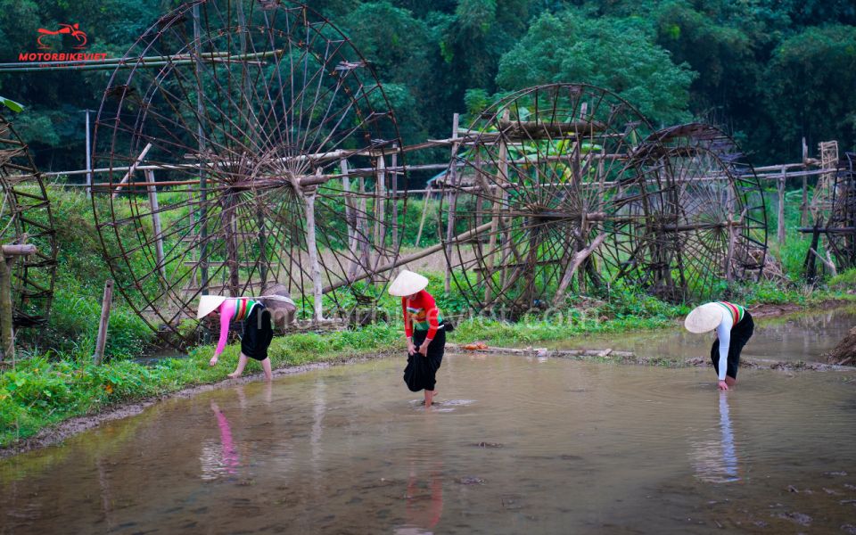 Pu Luong Trekking Tour Price 3 Days 2 Nights - Daily Itinerary