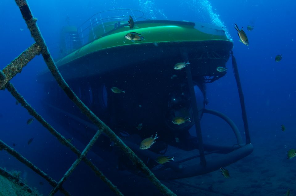 Puerto De Mogán: Submarine Tour - Dive Experience