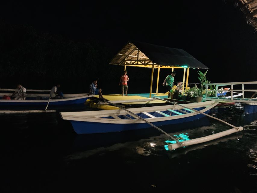 Puerto Princesa: Jungle Firefly Watching Boat Tour & Dinner - Itinerary