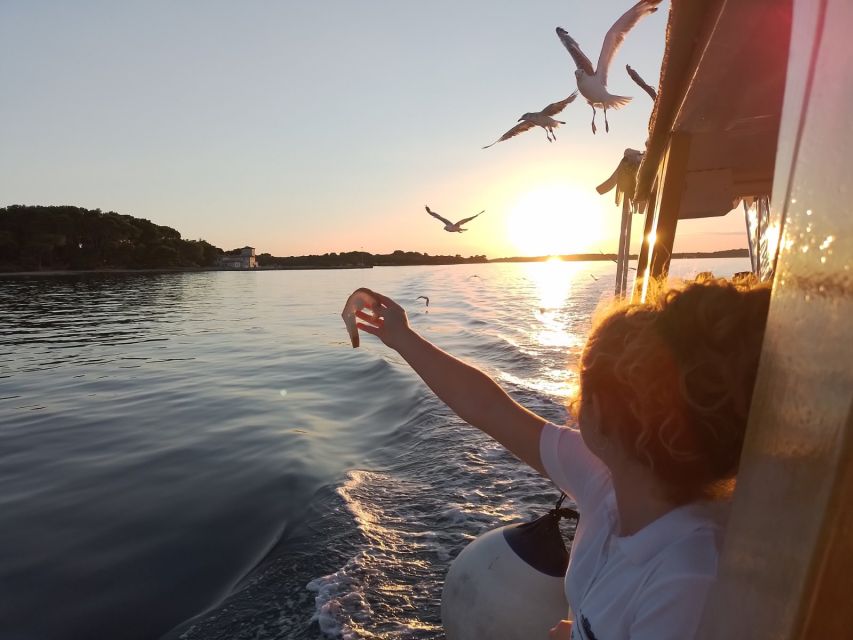 Pula: Dolphin-Watching Cruise at Sunset With Dinner & Drinks - Onboard Dining and Beverages