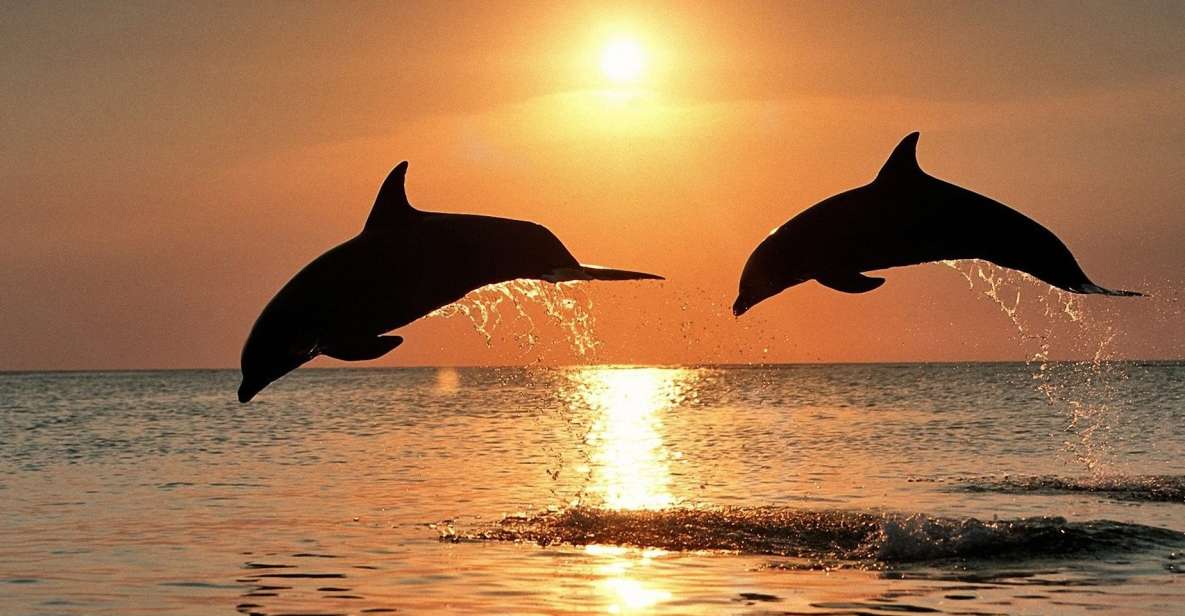 Pula: Exclusive Dolphin & Sunset Cruise With Dinner & Drinks - Scenic Brijuni National Park