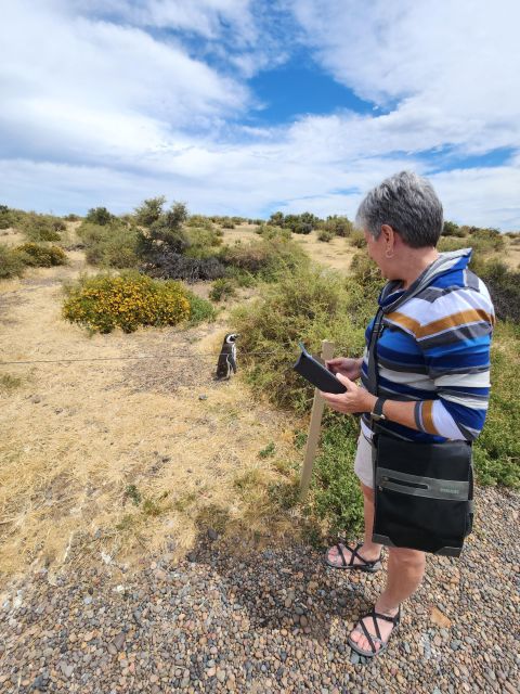 Punta Tombo Shore Excursion Box Lunch and Tickets Included - Experience Highlights