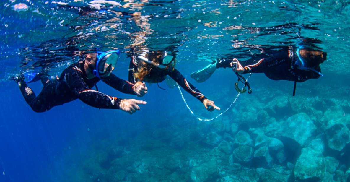 Radazul: Family-Friendly Snorkeling Tour - Experience Highlights