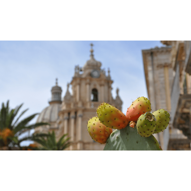 Ragusa, Modica and Scicli Private Tour - Transportation Details