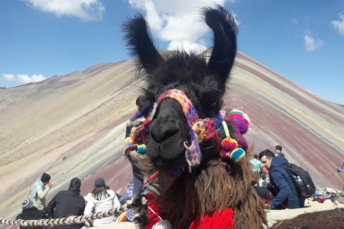 Rainbow Mountain Tour Vinicunca (Full Day) - Customer Reviews and Feedback