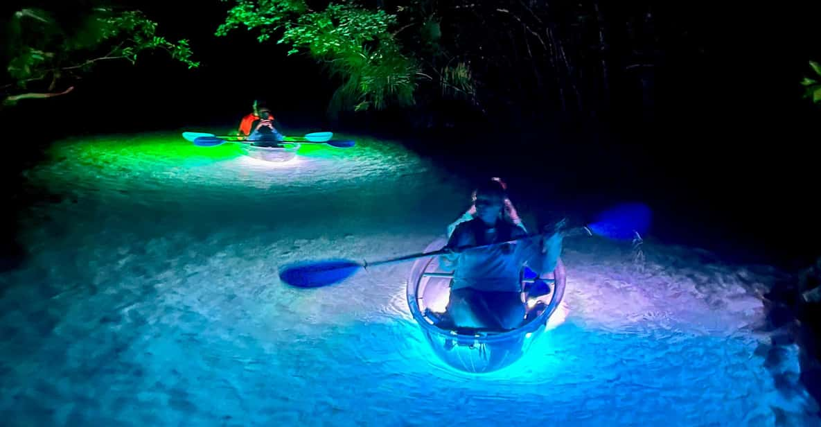 Rainbow Springs: Clear Kayak Sunset & Glow Tour - Whats Included